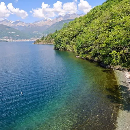 펜션 Corilla House 콜리코